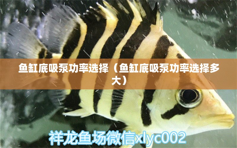 魚缸底吸泵功率選擇（魚缸底吸泵功率選擇多大） 其他品牌魚缸