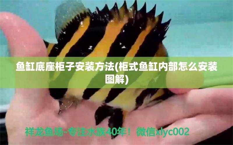 魚缸底座柜子安裝方法(柜式魚缸內(nèi)部怎么安裝圖解) 廣州龍魚批發(fā)市場