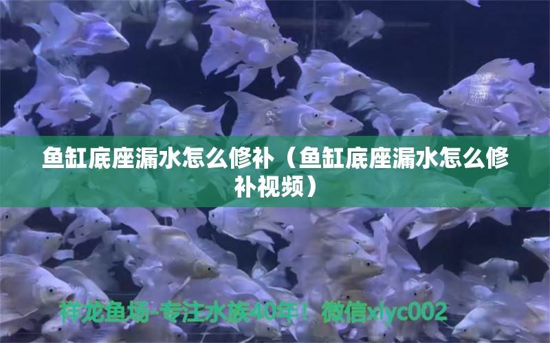 魚(yú)缸底座漏水怎么修補(bǔ)（魚(yú)缸底座漏水怎么修補(bǔ)視頻） 其他品牌魚(yú)缸