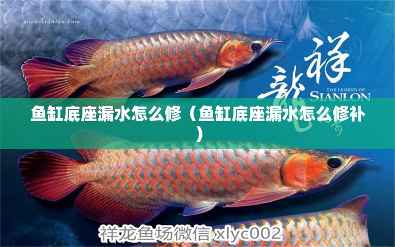 魚缸底座漏水怎么修（魚缸底座漏水怎么修補(bǔ)） 其他品牌魚缸