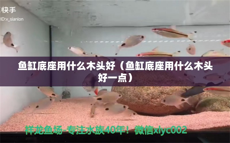 魚缸底座用什么木頭好（魚缸底座用什么木頭好一點(diǎn)） 祥龍水族醫(yī)院