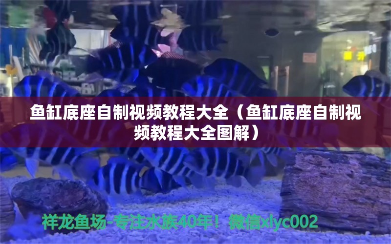 魚缸底座自制視頻教程大全（魚缸底座自制視頻教程大全圖解）