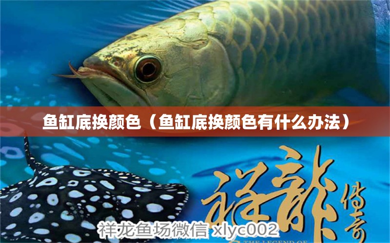 魚(yú)缸底換顏色（魚(yú)缸底換顏色有什么辦法）