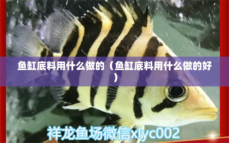 魚缸底料用什么做的（魚缸底料用什么做的好）