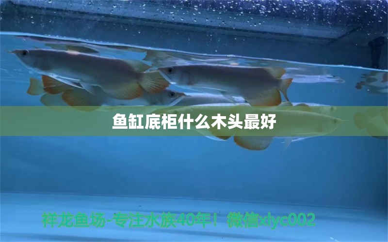 魚缸底柜什么木頭最好