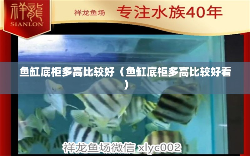 魚缸底柜多高比較好（魚缸底柜多高比較好看）