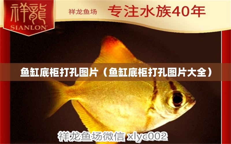 魚缸底柜打孔圖片（魚缸底柜打孔圖片大全） 金龍魚糧