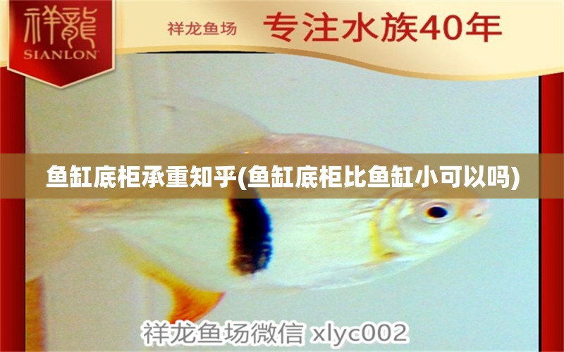 魚(yú)缸底柜承重知乎(魚(yú)缸底柜比魚(yú)缸小可以嗎) 元寶鯽