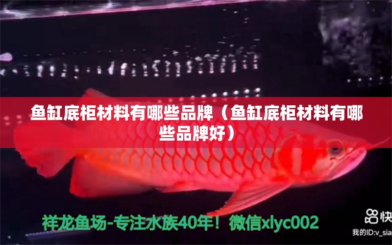 魚缸底柜材料有哪些品牌（魚缸底柜材料有哪些品牌好）