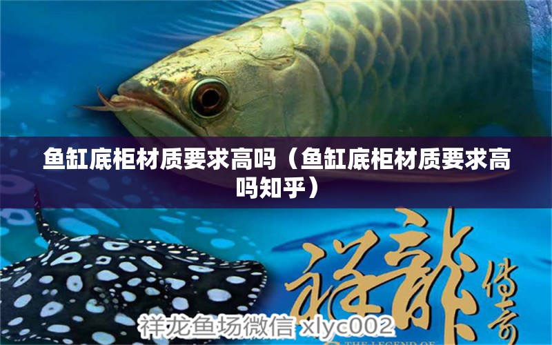 魚缸底柜材質(zhì)要求高嗎（魚缸底柜材質(zhì)要求高嗎知乎） 朱巴利魚