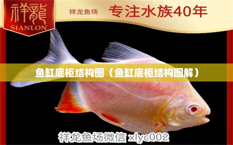 魚缸底柜結(jié)構(gòu)圖（魚缸底柜結(jié)構(gòu)圖解）