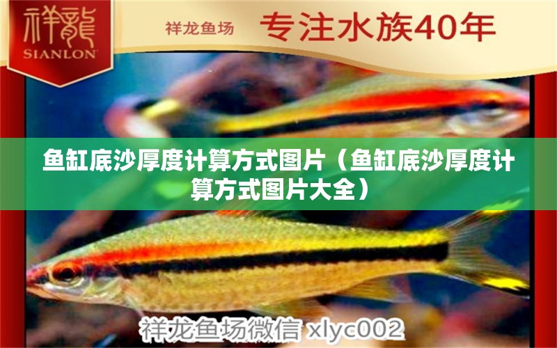 魚缸底沙厚度計算方式圖片（魚缸底沙厚度計算方式圖片大全） 純血皇冠黑白魟魚