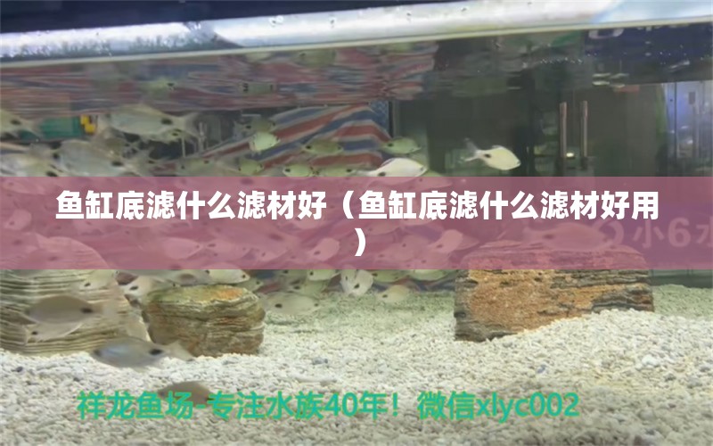 魚缸底濾什么濾材好（魚缸底濾什么濾材好用） 祥龍水族醫(yī)院