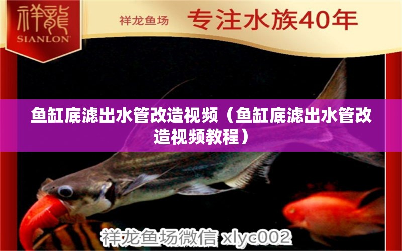 魚缸底濾出水管改造視頻（魚缸底濾出水管改造視頻教程）