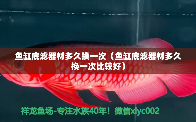 魚缸底濾器材多久換一次（魚缸底濾器材多久換一次比較好）