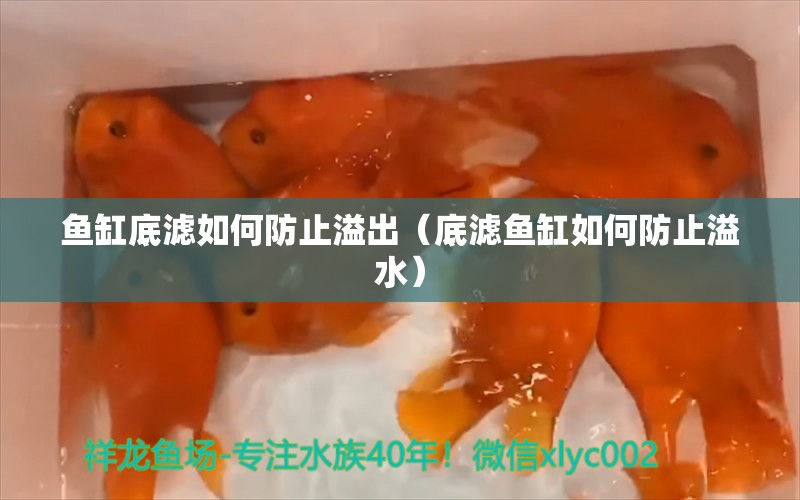 魚缸底濾如何防止溢出（底濾魚缸如何防止溢水）