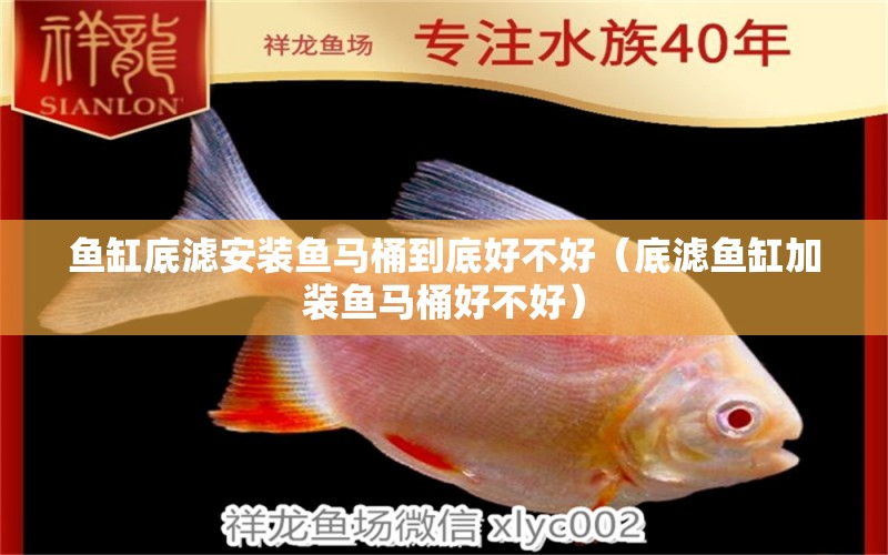 魚缸底濾安裝魚馬桶到底好不好（底濾魚缸加裝魚馬桶好不好） 祥龍水族醫(yī)院