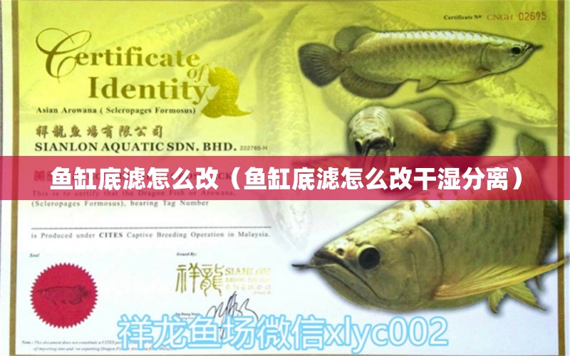 魚缸底濾怎么改（魚缸底濾怎么改干濕分離）