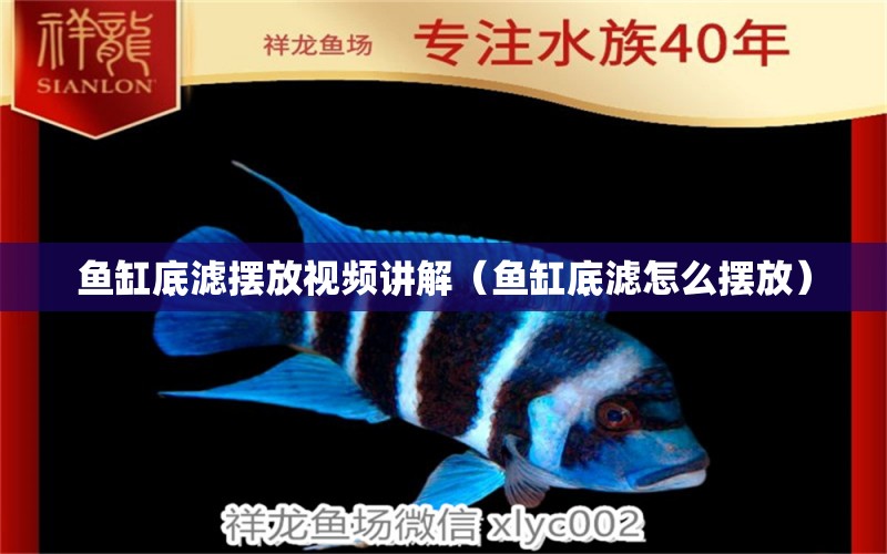 魚缸底濾擺放視頻講解（魚缸底濾怎么擺放） 祥龍水族醫(yī)院