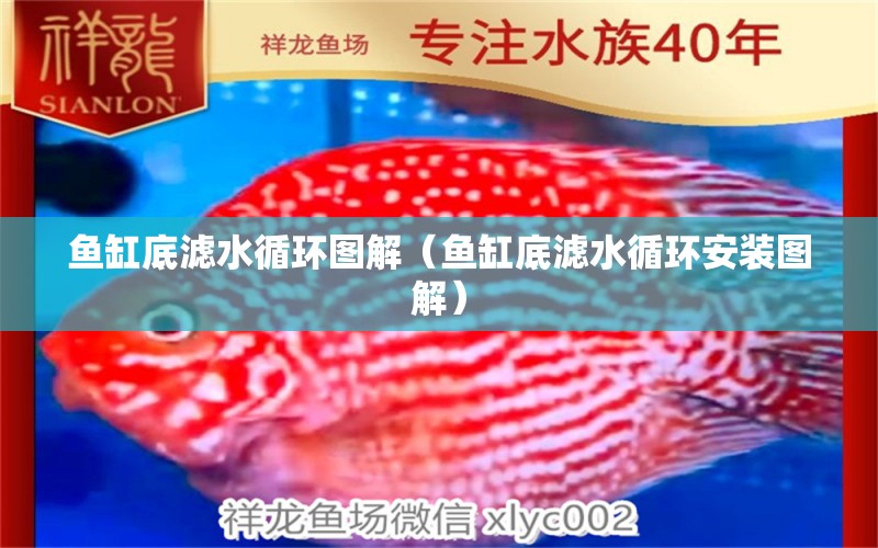 魚缸底濾水循環(huán)圖解（魚缸底濾水循環(huán)安裝圖解）