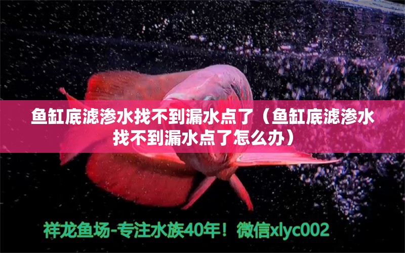 魚缸底濾滲水找不到漏水點(diǎn)了（魚缸底濾滲水找不到漏水點(diǎn)了怎么辦）