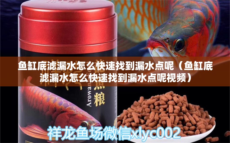 魚缸底濾漏水怎么快速找到漏水點(diǎn)呢（魚缸底濾漏水怎么快速找到漏水點(diǎn)呢視頻）