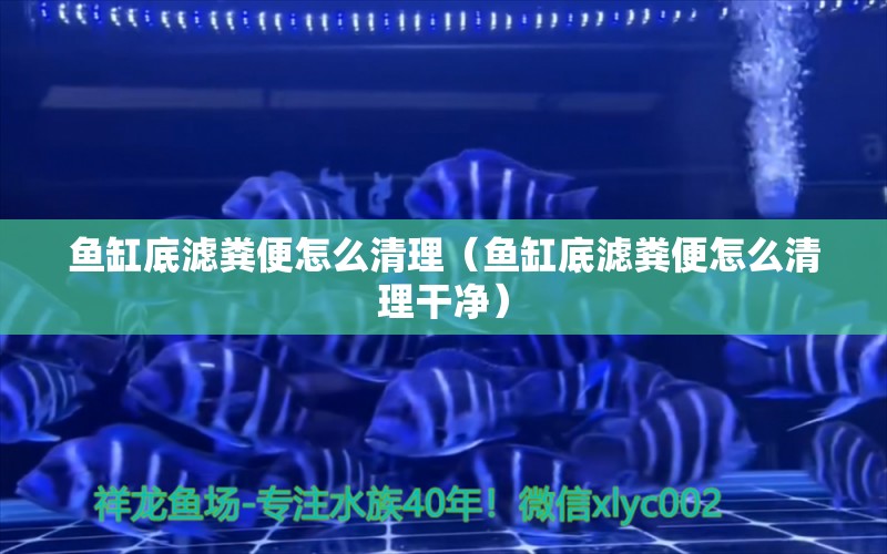 魚缸底濾糞便怎么清理（魚缸底濾糞便怎么清理干凈） 其他品牌魚缸