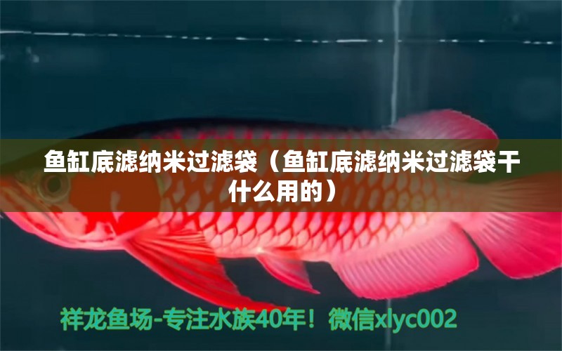 魚缸底濾納米過濾袋（魚缸底濾納米過濾袋干什么用的）