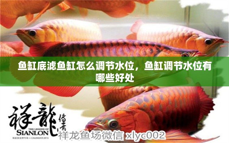 魚缸底濾魚缸怎么調(diào)節(jié)水位，魚缸調(diào)節(jié)水位有哪些好處 養(yǎng)魚知識(shí)