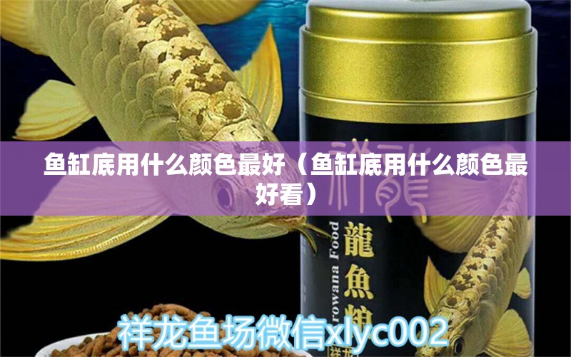 魚缸底用什么顏色最好（魚缸底用什么顏色最好看）