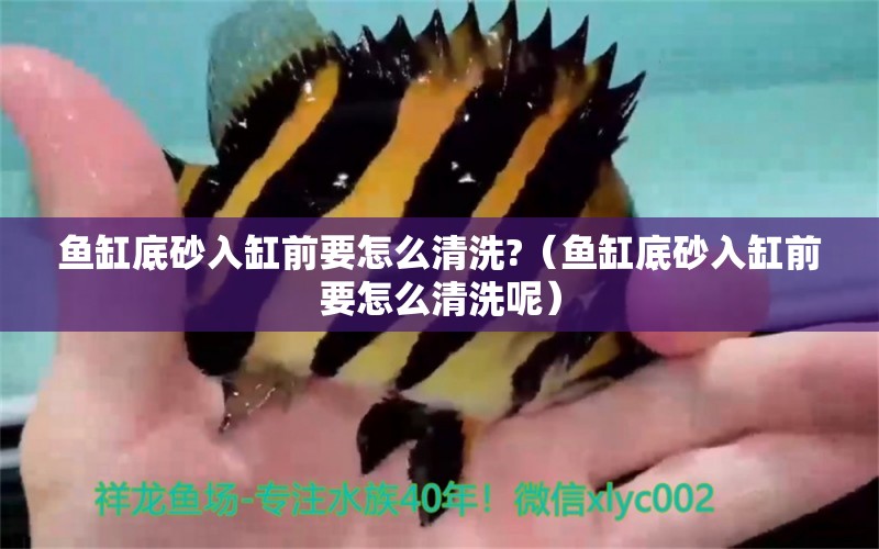 魚缸底砂入缸前要怎么清洗?（魚缸底砂入缸前要怎么清洗呢） 量子養(yǎng)魚技術(shù)