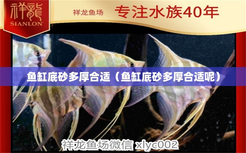 魚缸底砂多厚合適（魚缸底砂多厚合適呢） 白玉紅龍魚