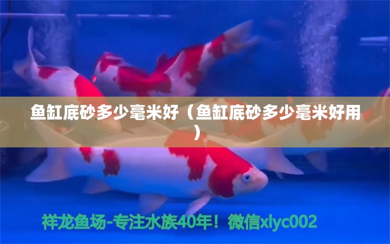 魚缸底砂多少毫米好（魚缸底砂多少毫米好用） 祥龍水族醫(yī)院