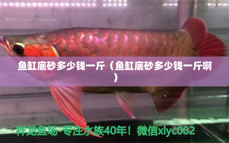 魚缸底砂多少錢一斤（魚缸底砂多少錢一斤?。? title=