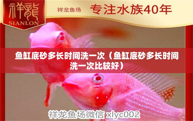 魚缸底砂多長時間洗一次（魚缸底砂多長時間洗一次比較好）