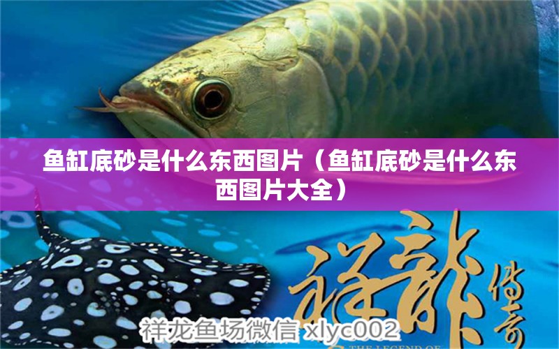 魚缸底砂是什么東西圖片（魚缸底砂是什么東西圖片大全） 量子養(yǎng)魚技術(shù)