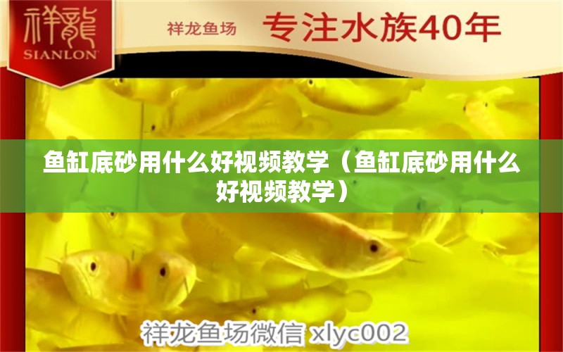 魚缸底砂用什么好視頻教學(xué)（魚缸底砂用什么好視頻教學(xué)） 龍魚專用燈