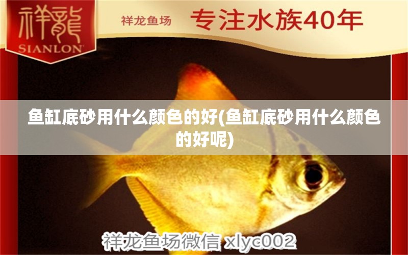 魚(yú)缸底砂用什么顏色的好(魚(yú)缸底砂用什么顏色的好呢) 哥倫比亞巨暴魚(yú)苗