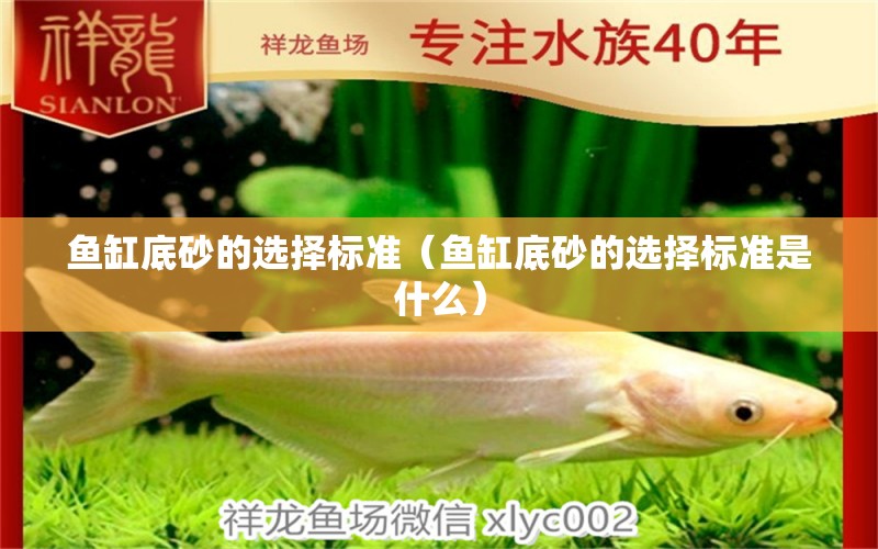 魚(yú)缸底砂的選擇標(biāo)準(zhǔn)（魚(yú)缸底砂的選擇標(biāo)準(zhǔn)是什么） 祥龍水族醫(yī)院