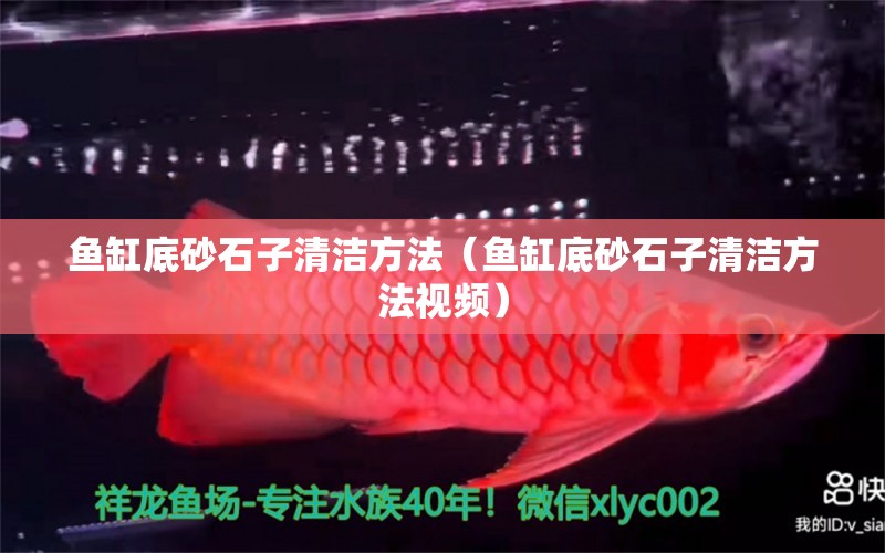 魚缸底砂石子清潔方法（魚缸底砂石子清潔方法視頻） 白子金龍魚