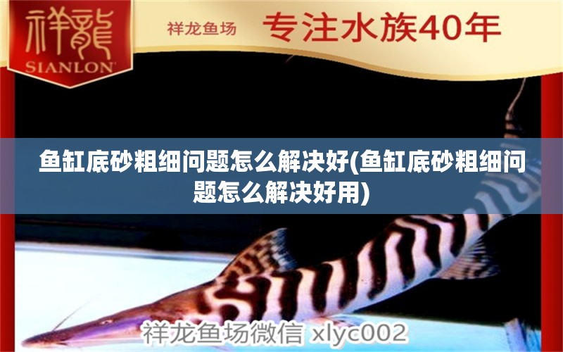 魚缸底砂粗細(xì)問題怎么解決好(魚缸底砂粗細(xì)問題怎么解決好用) 祥龍魚藥系列