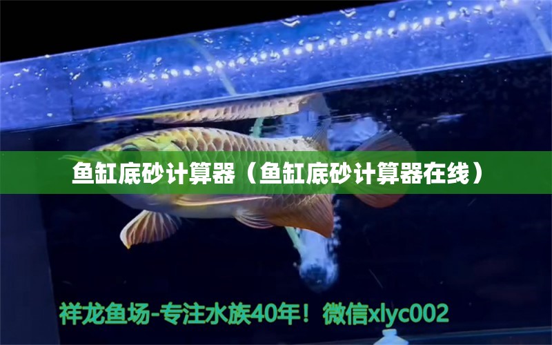 魚缸底砂計(jì)算器（魚缸底砂計(jì)算器在線）