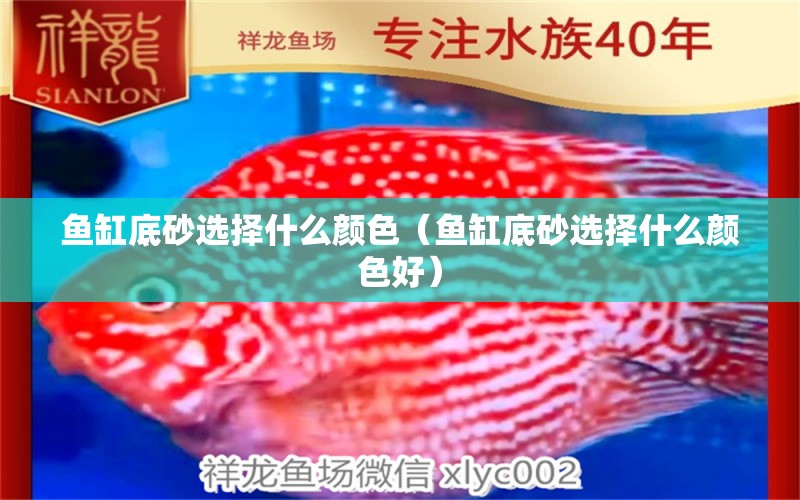 魚缸底砂選擇什么顏色（魚缸底砂選擇什么顏色好）