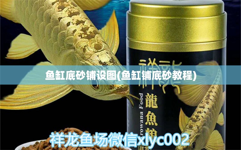 魚缸底砂鋪設(shè)圖(魚缸鋪底砂教程) 玫瑰銀版魚