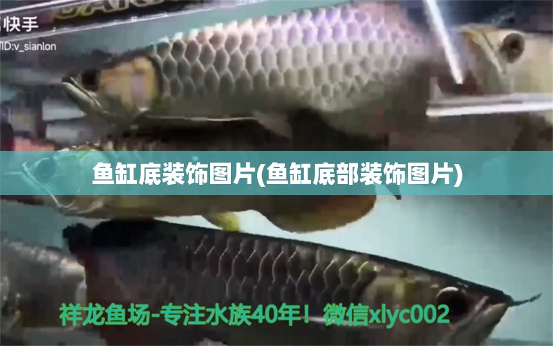 魚(yú)缸底裝飾圖片(魚(yú)缸底部裝飾圖片) 泰國(guó)斗魚(yú)