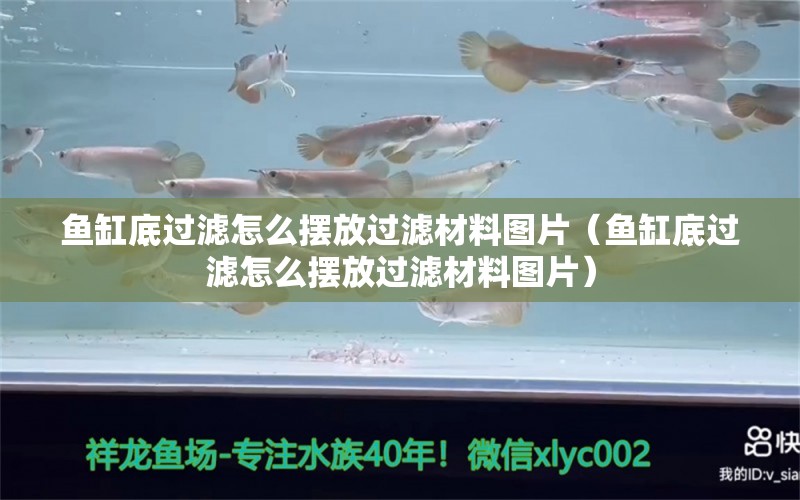 魚缸底過濾怎么擺放過濾材料圖片（魚缸底過濾怎么擺放過濾材料圖片） 巴卡雷龍魚