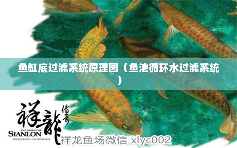 魚缸底過濾系統(tǒng)原理圖（魚池循環(huán)水過濾系統(tǒng)）