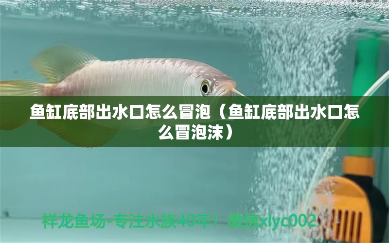 魚缸底部出水口怎么冒泡（魚缸底部出水口怎么冒泡沫） 祥龍水族醫(yī)院