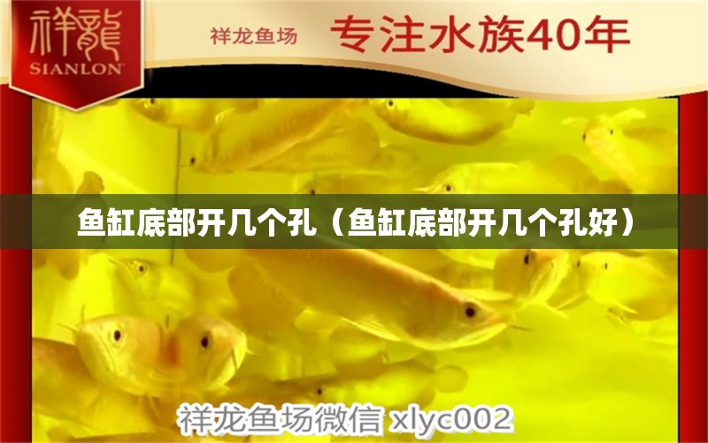 魚缸底部開幾個孔（魚缸底部開幾個孔好）