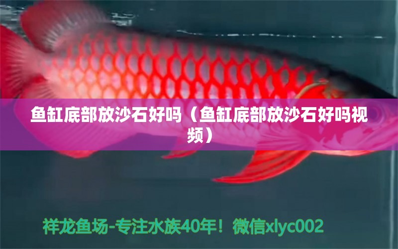 魚(yú)缸底部放沙石好嗎（魚(yú)缸底部放沙石好嗎視頻）